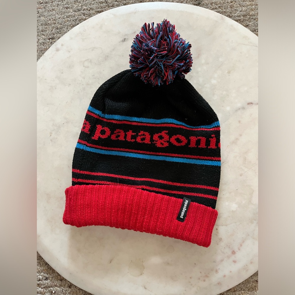 😎 Patagonia Ski Hat